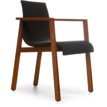 Annika Dining Chair with Arms