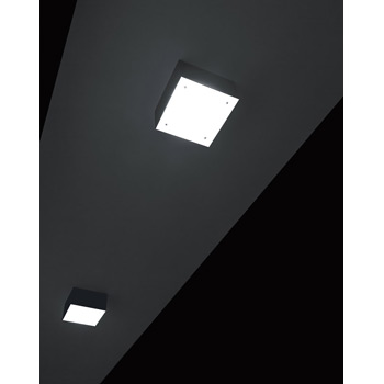Hako PL LED Ceiling Light