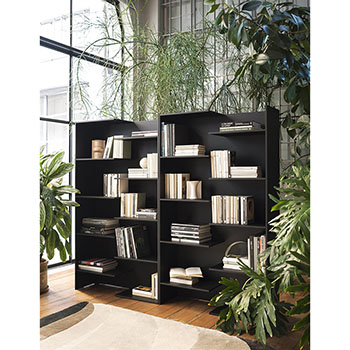 Step Bookshelves
