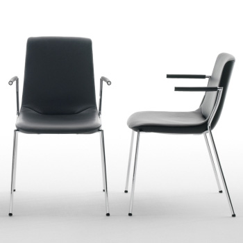 DS-717 Dining Chair