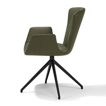 Dexter Dining Chair with Arms - Star Base