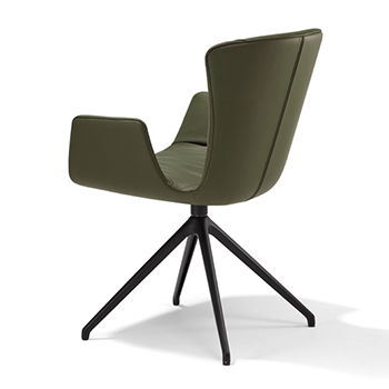 Dexter Dining Chair with Arms - Star Base