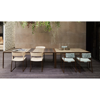 Gea Dining Chair with Arms