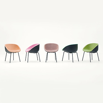 Amable Dining Chair