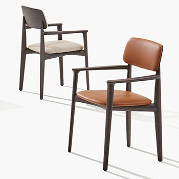 Curve Dining Chair with Arms