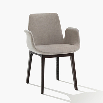 Ventura Dining Chair with Arms