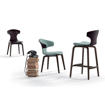Montera Dining Chair with Arms