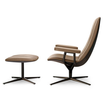Healey Lounge Chair with Armrests
