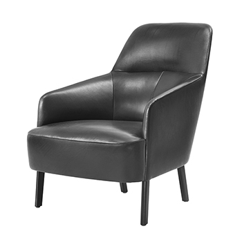 Mono Lounge Chair