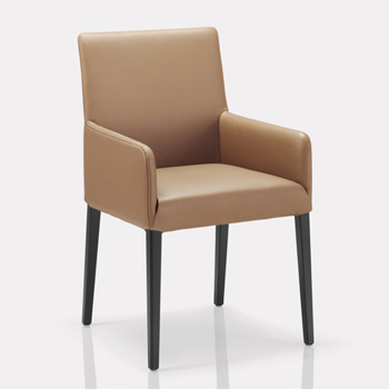 Nils Dining Chair with Arms